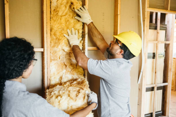 Best Professional Insulation Contractor  in Lely Resort, FL