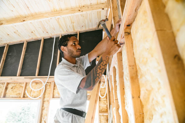 Best Insulation Replacement Services  in Lely Resort, FL