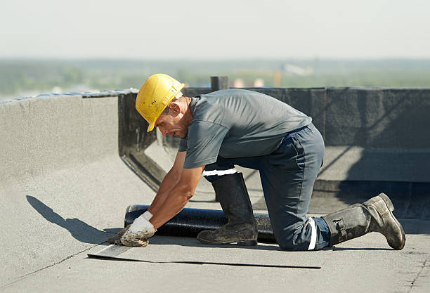 Best Insulation Contractors for Homes  in Lely Resort, FL