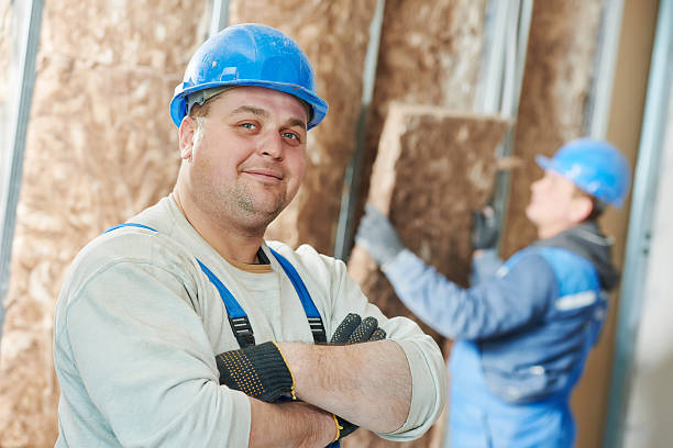 Best Attic Insulation Installation  in Lely Resort, FL