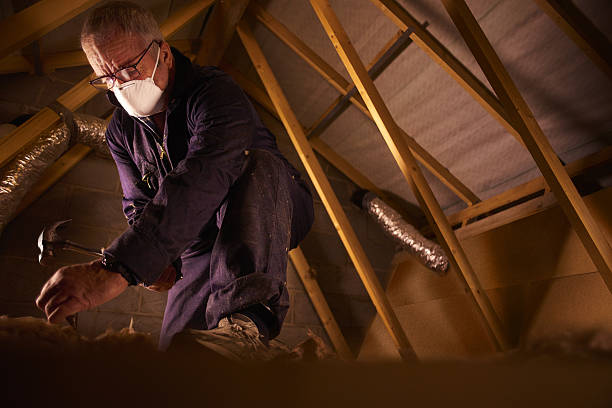 Best Wall Insulation Contractor  in Lely Resort, FL